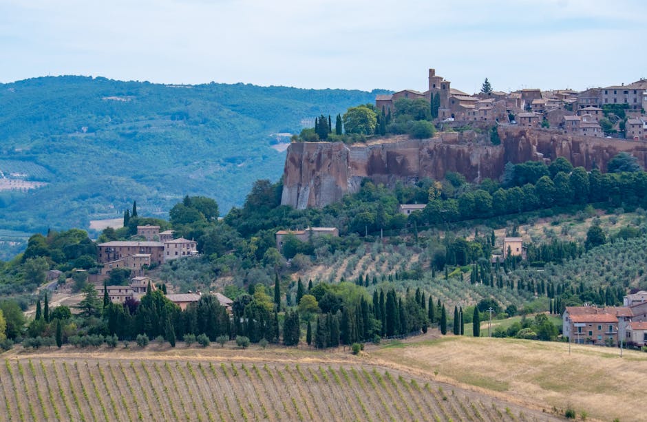Wine Trails: Exploring Tuscany's Vineyards