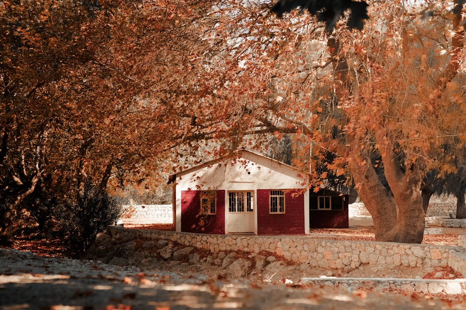 Hidden Gems in France's Wine Country
