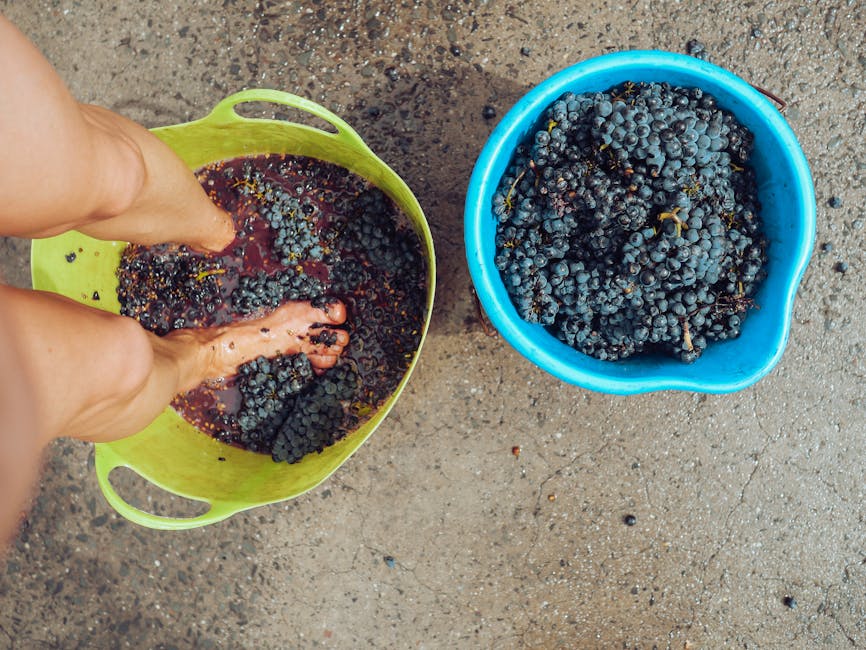 Top 10 Grapes Every Winemaker Should Know