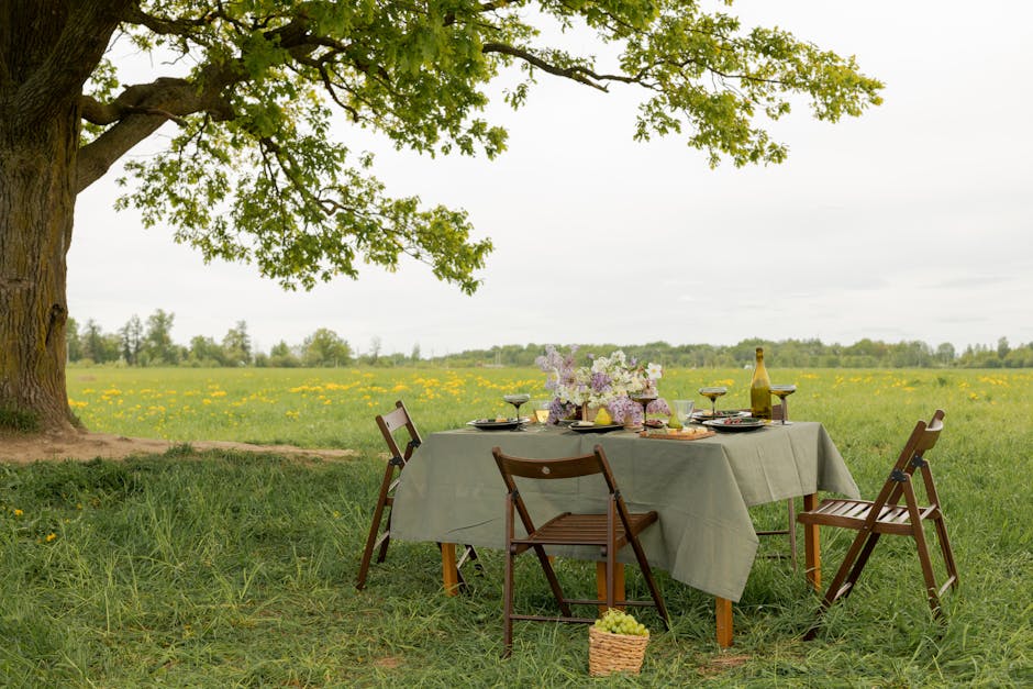 Hidden Gems in France's Wine Country