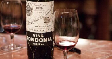 Wine Regions That Define Luxury Experiences